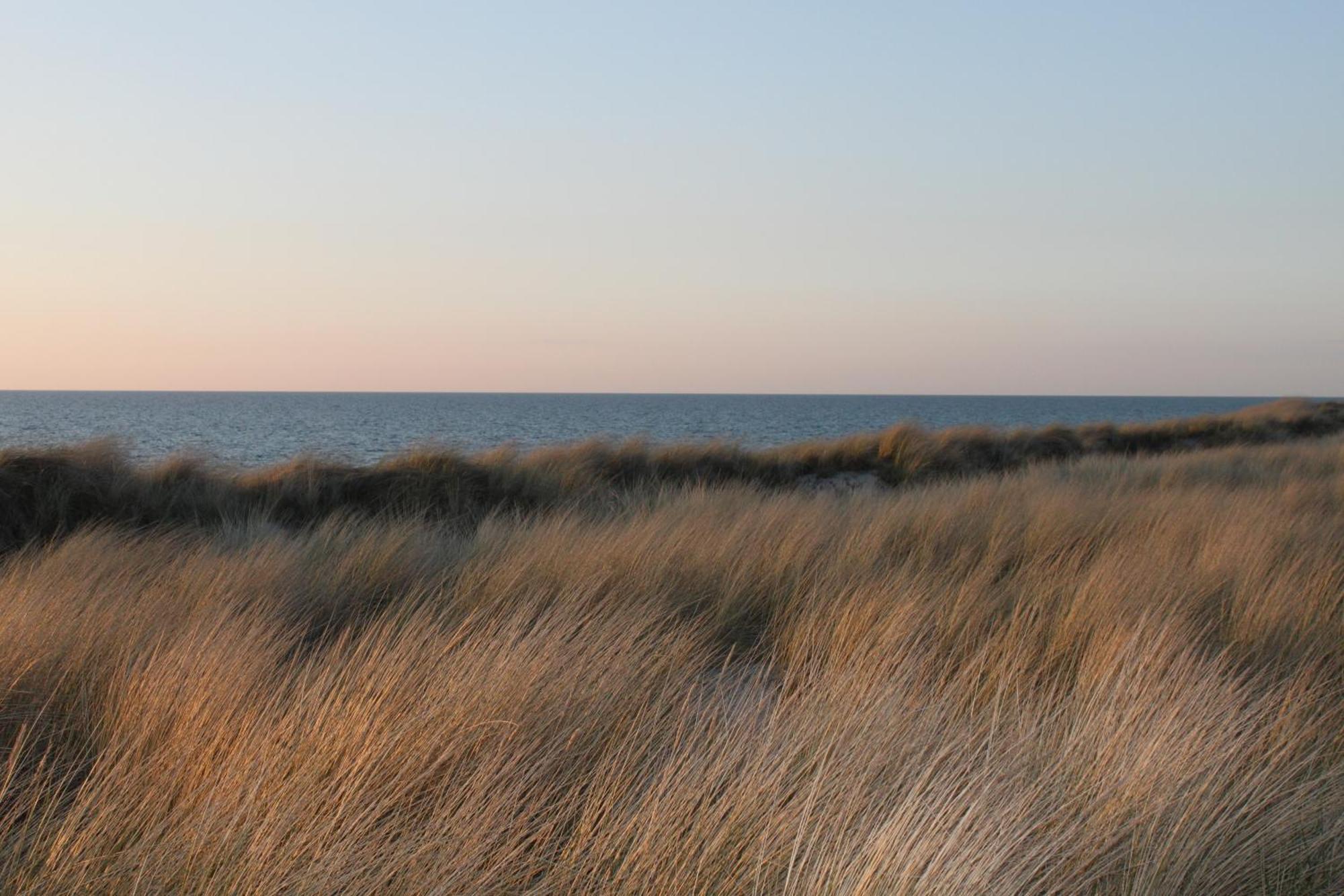-"Strandhaus Friedrich"- 奥茨塞巴德·迪尔哈根 外观 照片