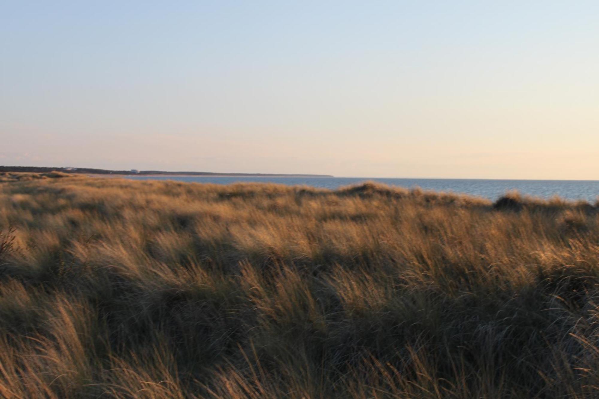 -"Strandhaus Friedrich"- 奥茨塞巴德·迪尔哈根 外观 照片